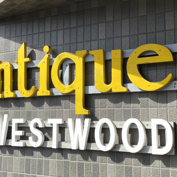 3月7日（金）午前中の店内撮影についてのお知らせ